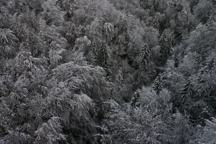 Neige sur la Riviera - 028